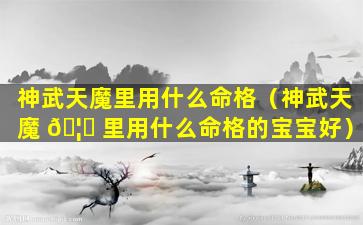 神武天魔里用什么命格（神武天魔 🦋 里用什么命格的宝宝好）